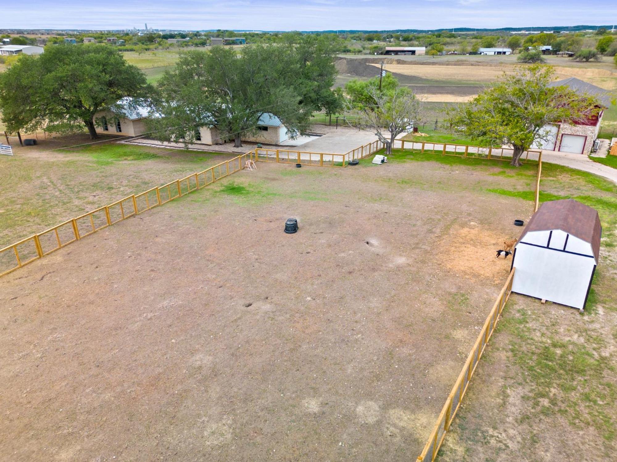 Villa Farm Retreat With Jacuzzi, Fire Pit, Mini Goats, Mini Ponies And Mini Cows San Marcos Zimmer foto